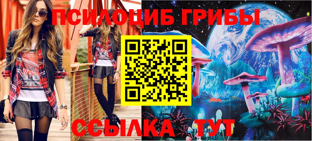 Псилоцибиновые грибы Psilocybe Орехово-Зуево