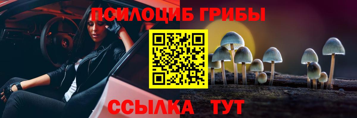 Орехово-Зуево  Галлюциногенные грибы MAGIC MUSHROOMS  Псилоцибиновые грибы Psilocybe  Вход с VPN 